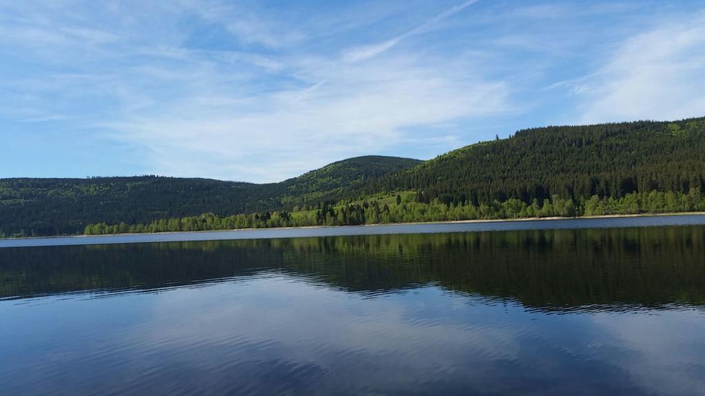 Ferienwohnung Ferienhaus Haber Schluchsee Exterior foto